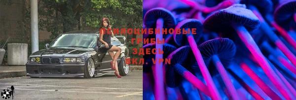 метадон Данков