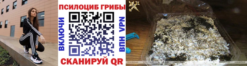 хочу наркоту  Кодинск  Псилоцибиновые грибы ЛСД 